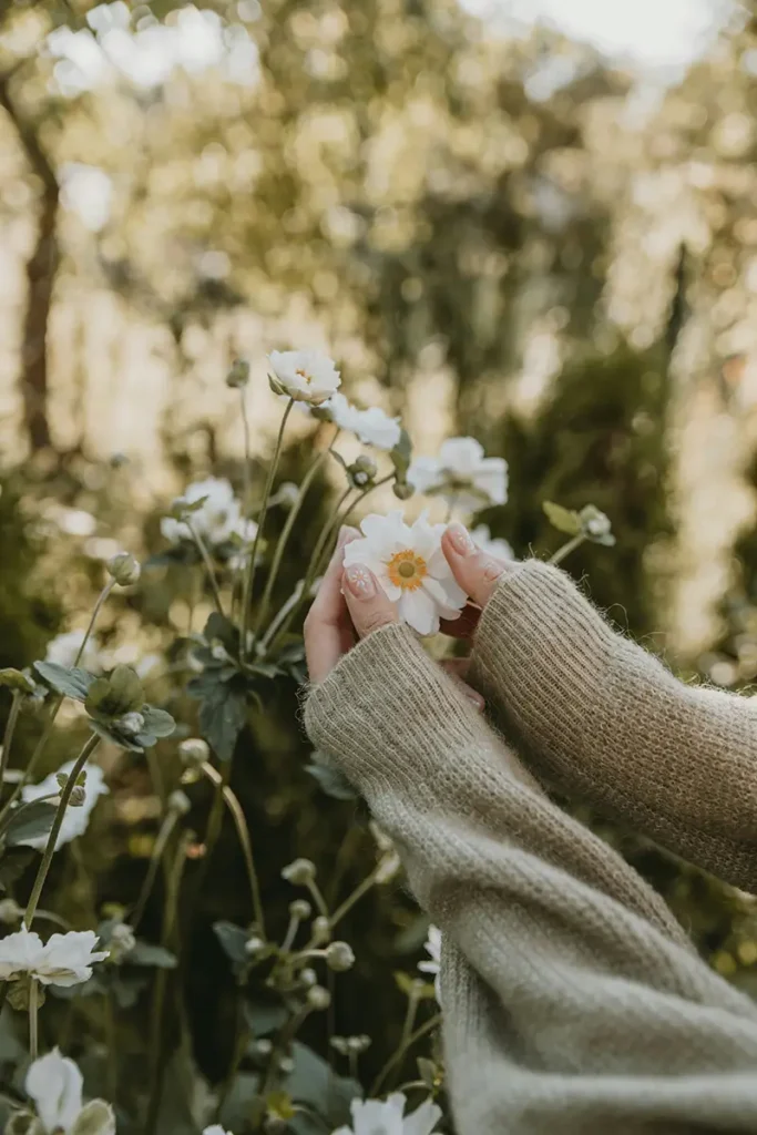 Mains tenant délicatement une fleur blanche — reconstruction et retour à soi après violences conjugales, hypnothérapie Touraine