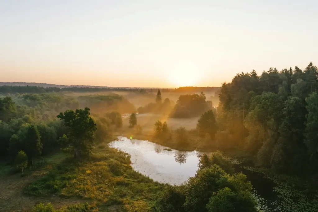 Paysage de campagne au lever du soleil avec brume — hypnothérapeute TSPT à Sainte-Maure-de-Touraine