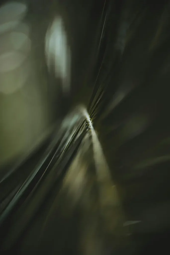 Abstraction végétale floue symbolisant les multiples niveaux de conscience explorés en hypnose ericksonienne