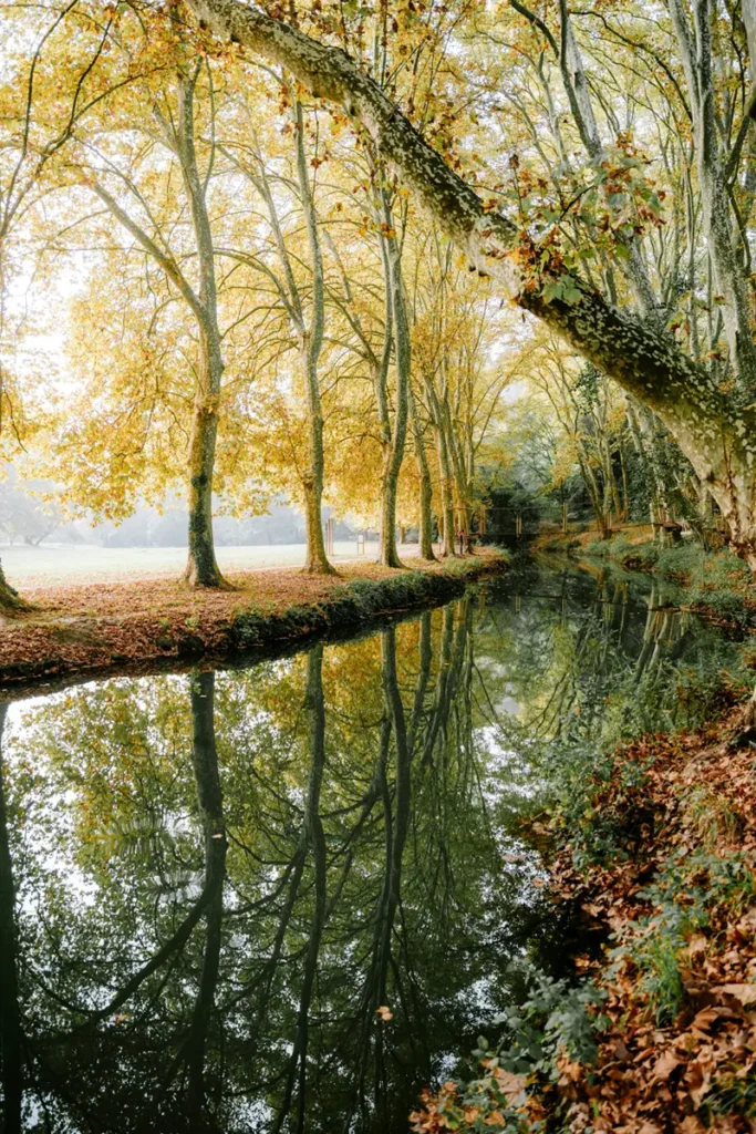 Reflet arbres eau miroir festival bien-être Pontourny Beaumont-en-Véron hypnose juin 2026